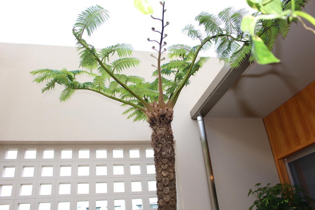 Apartamento Coldio Mihama Bettei Yui No Ie Chatan Exterior foto