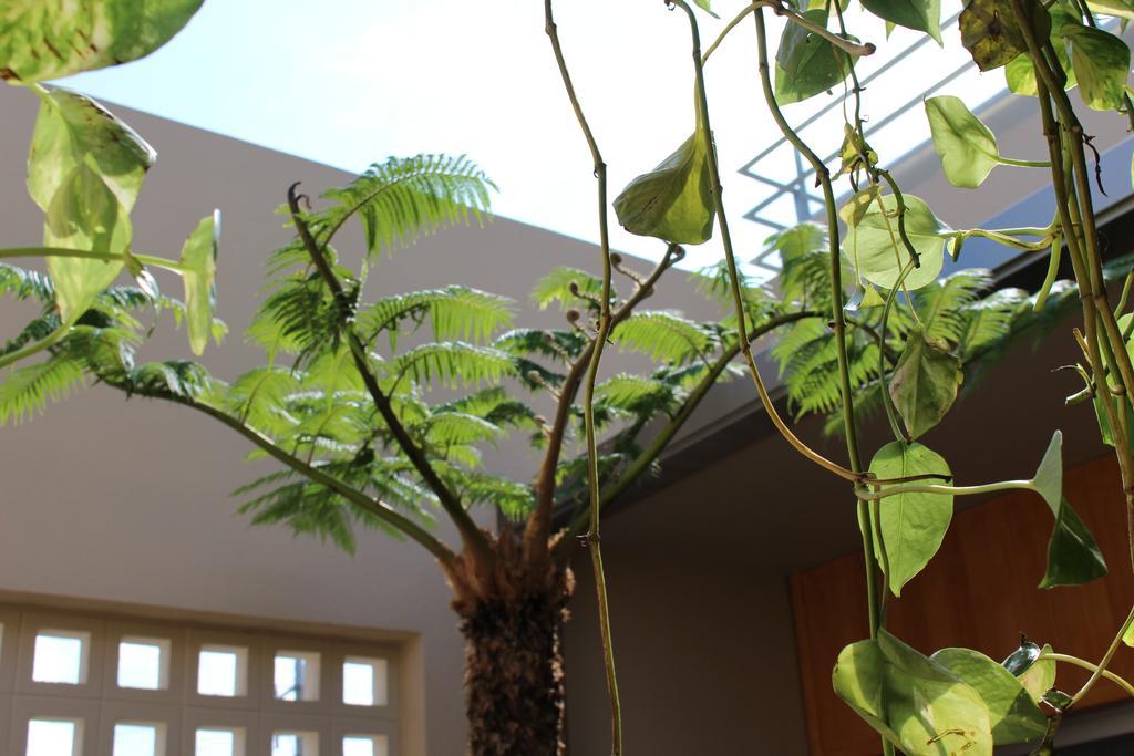 Apartamento Coldio Mihama Bettei Yui No Ie Chatan Exterior foto